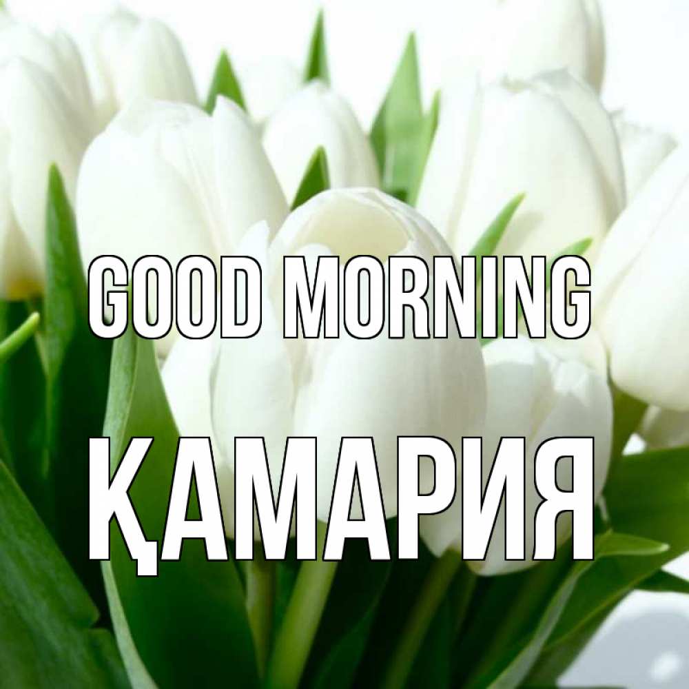 Greetings card с именем, ҚАМАРИЯ Good morning открытки на каждый день по именам Greetings with text for free download 