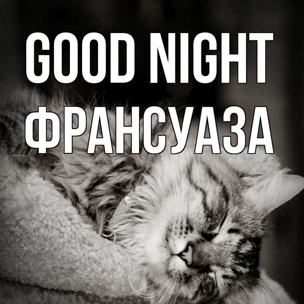 Greetings card с именем, Франсуаза Good night котярик пушистый Greetings with text for free download 