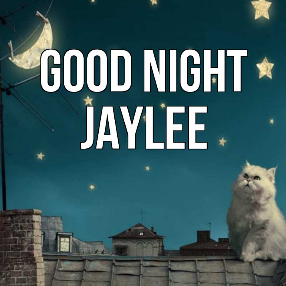 Greetings card с именем, Jaylee Good night белый кот сидит на крыше Greetings with text for free download 