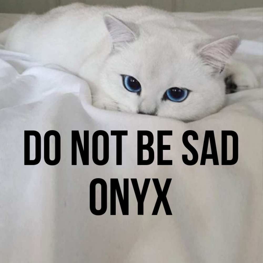 Greetings card с именем, Onyx Do not be sad Голубоглазая кошка Greetings with text for free download 