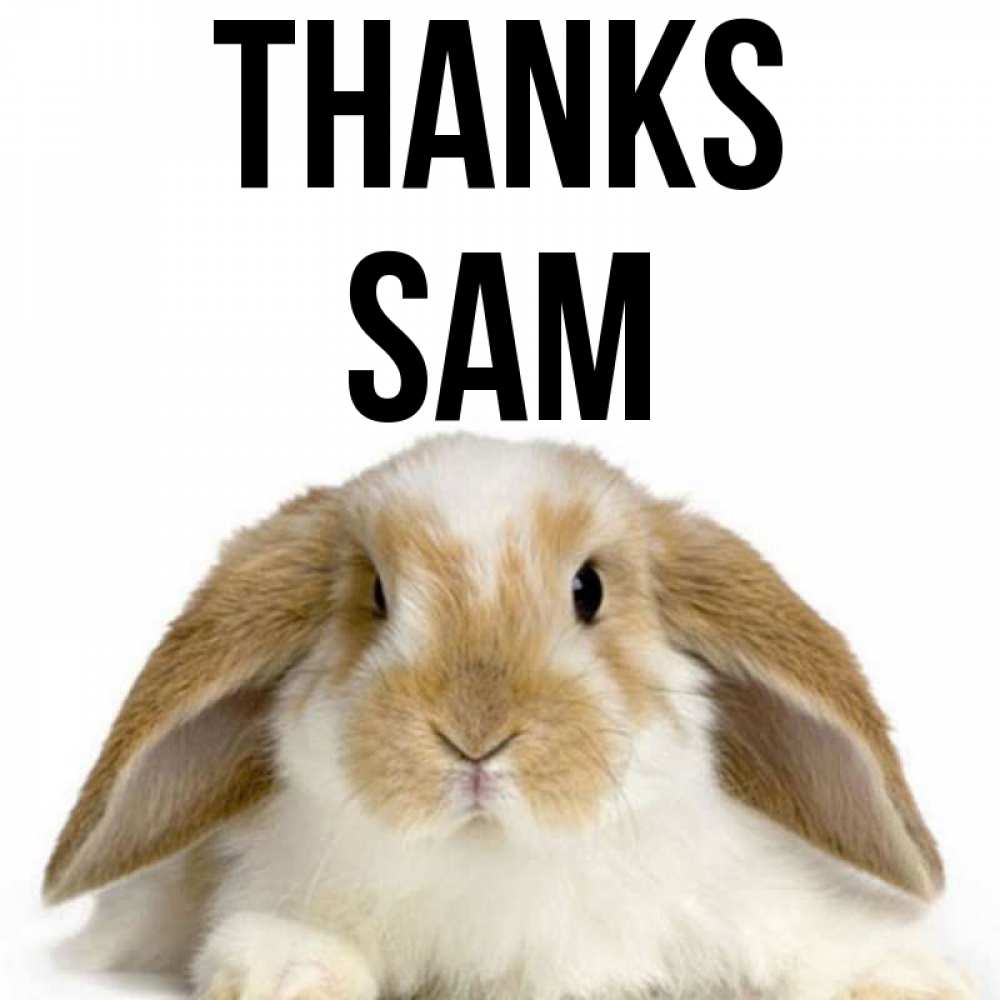 Greetings card с именем, Sam Thanks коричнево белый заяц Greetings with text for free download 
