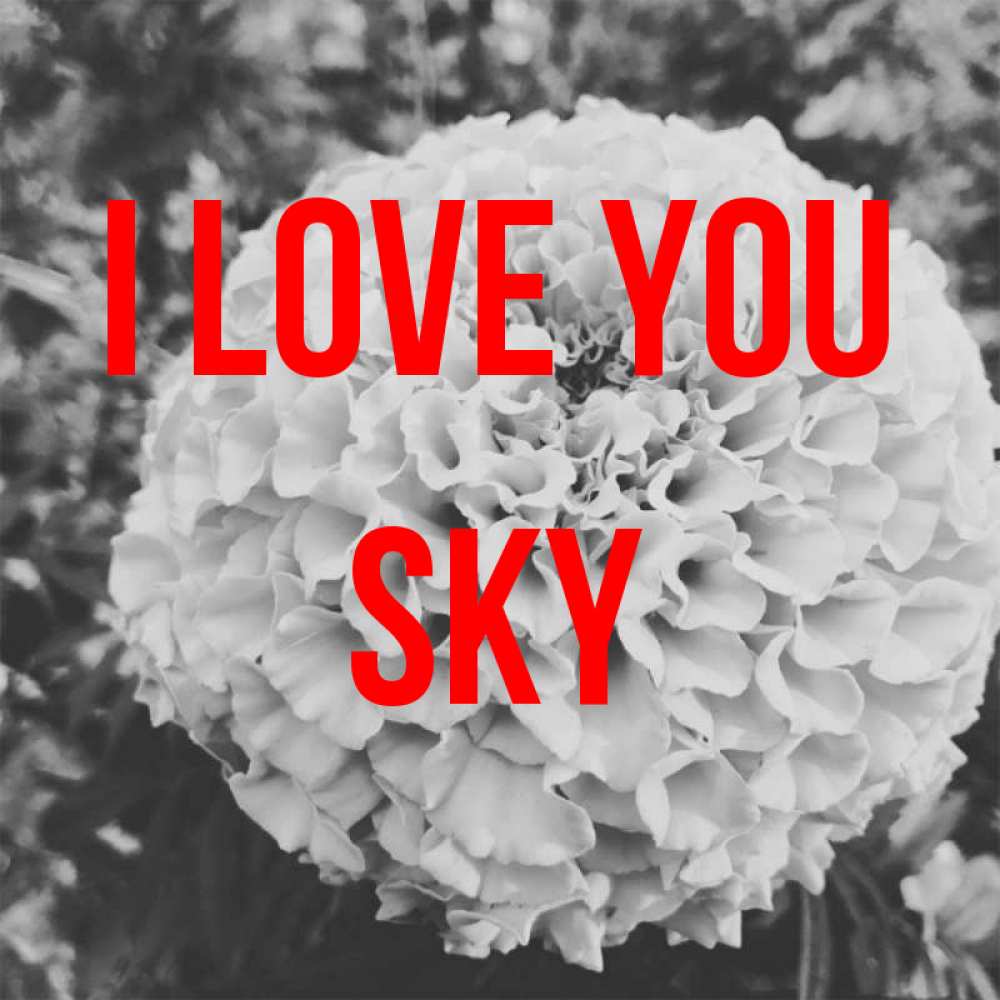 Greetings card с именем, Sky I love you подпись Greetings with text for free download 