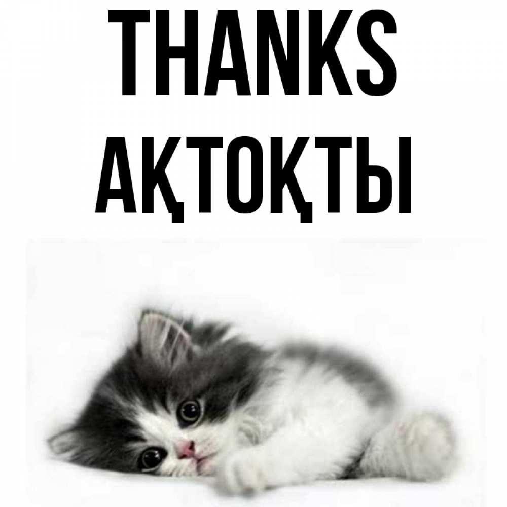 Greetings card с именем, АҚТОҚТЫ Thanks черный и белый кот Greetings with text for free download 
