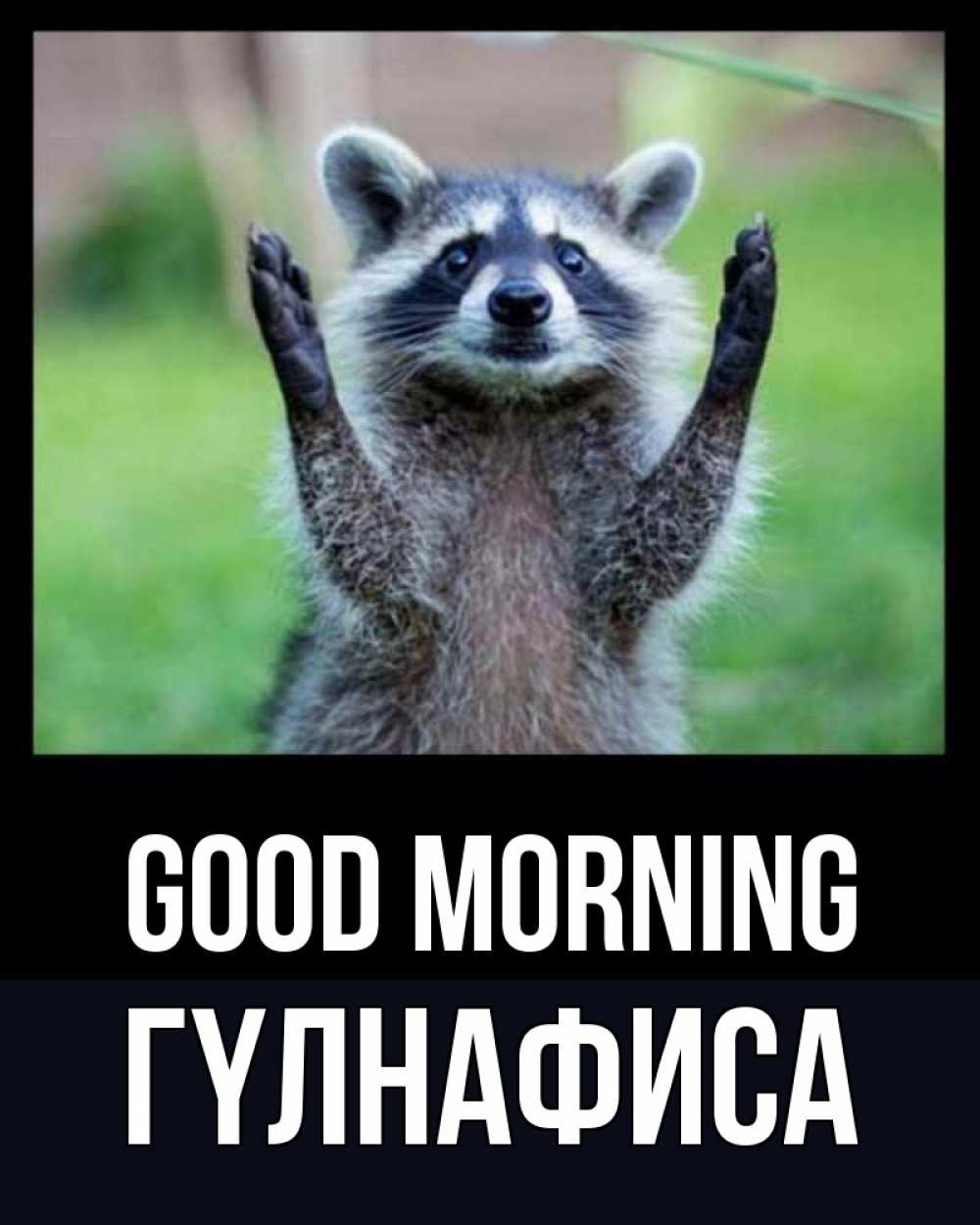 Greetings card с именем, ГҮЛНАФИСА Good morning хорошее настроение утречком Greetings with text for free download 
