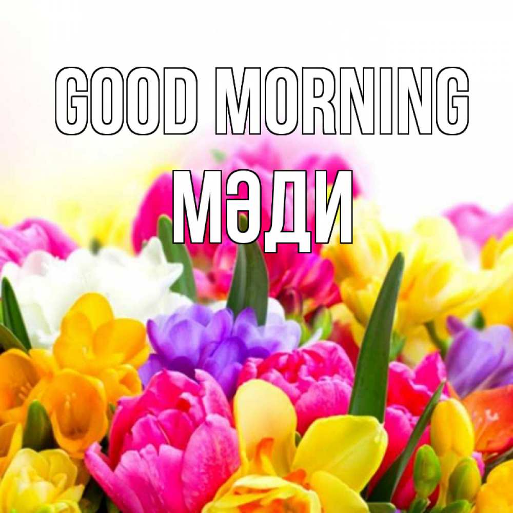 Greetings card с именем, МӘДИ Good morning создать открытку со свое подписью Greetings with text for free download 