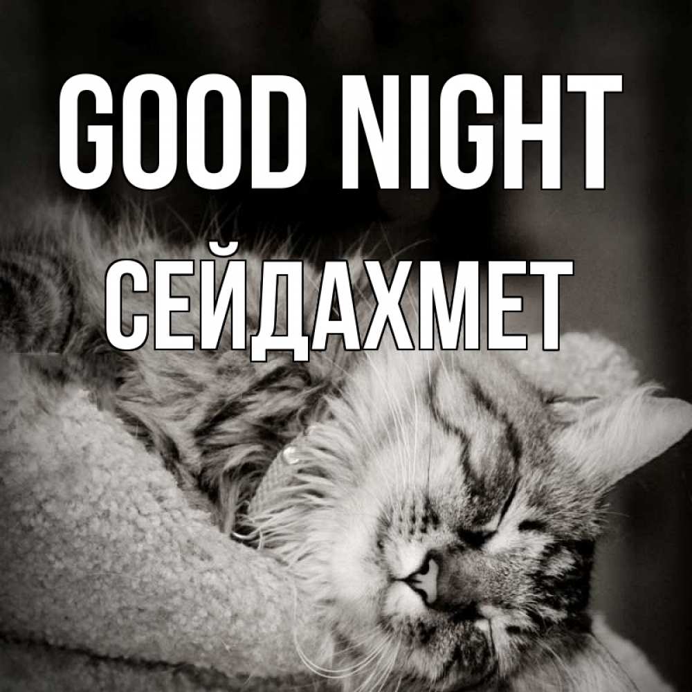 Greetings card с именем, СЕЙДАХМЕТ Good night котярик пушистый Greetings with text for free download 