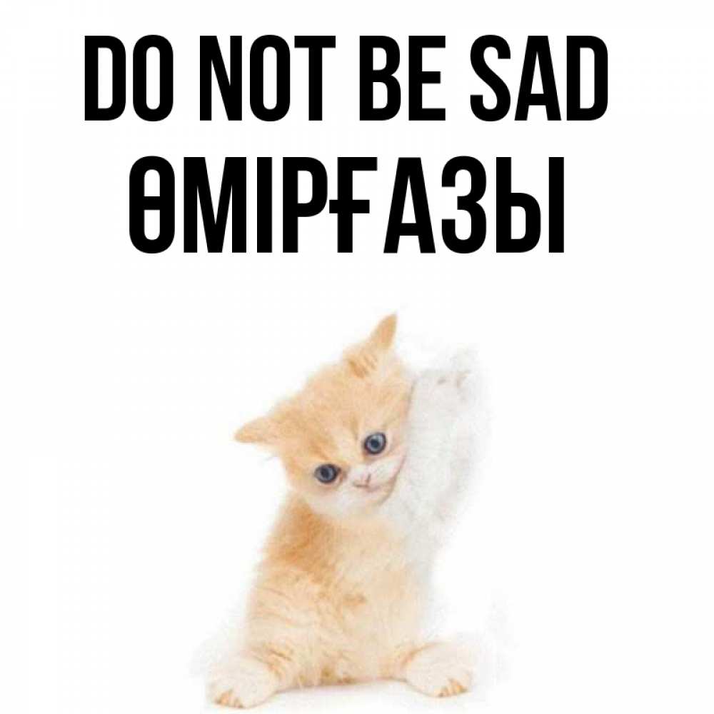Greetings card с именем, ӨМІРҒАЗЫ Do not be sad просящий кот Greetings with text for free download 
