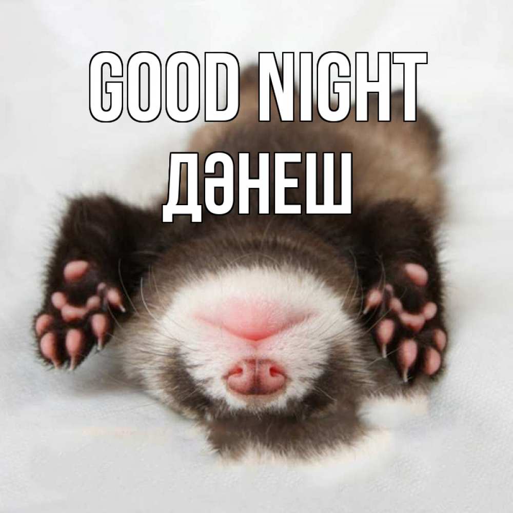 Greetings card с именем, ДӘНЕШ Good night зверек Greetings with text for free download 