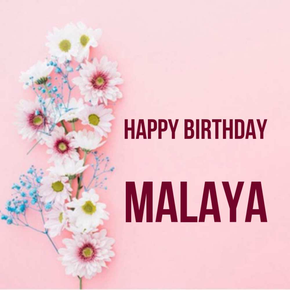 Greetings card с именем, Malaya Happy Birthday Родная моя с днем рождения тебя картинка с цветами белыми и голубыми Greetings with text for free download 