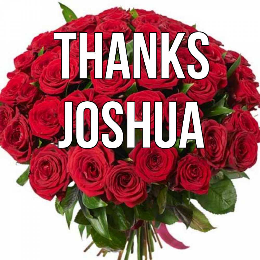 Greetings card с именем, Joshua Thanks букет красных роз Greetings with text for free download 