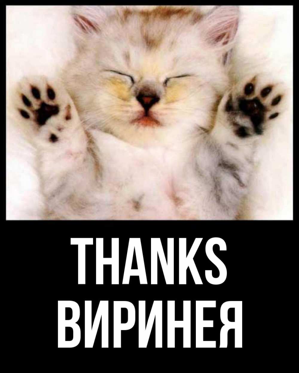 Greetings card с именем, Виринея Thanks маленький котенок Greetings with text for free download 