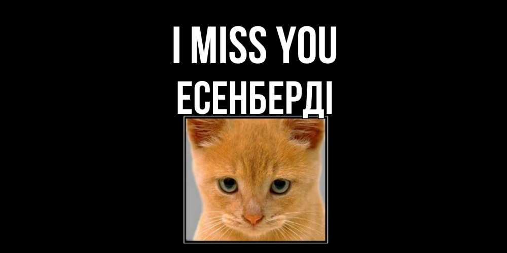 Greetings card с именем, Есенберді I miss you открытки рыжий котенок скучает по тебе Greetings with text for free download 