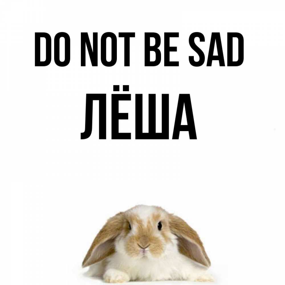 Greetings card с именем, Лёша Do not be sad коричнево белый заяц с большими ушками Greetings with text for free download 