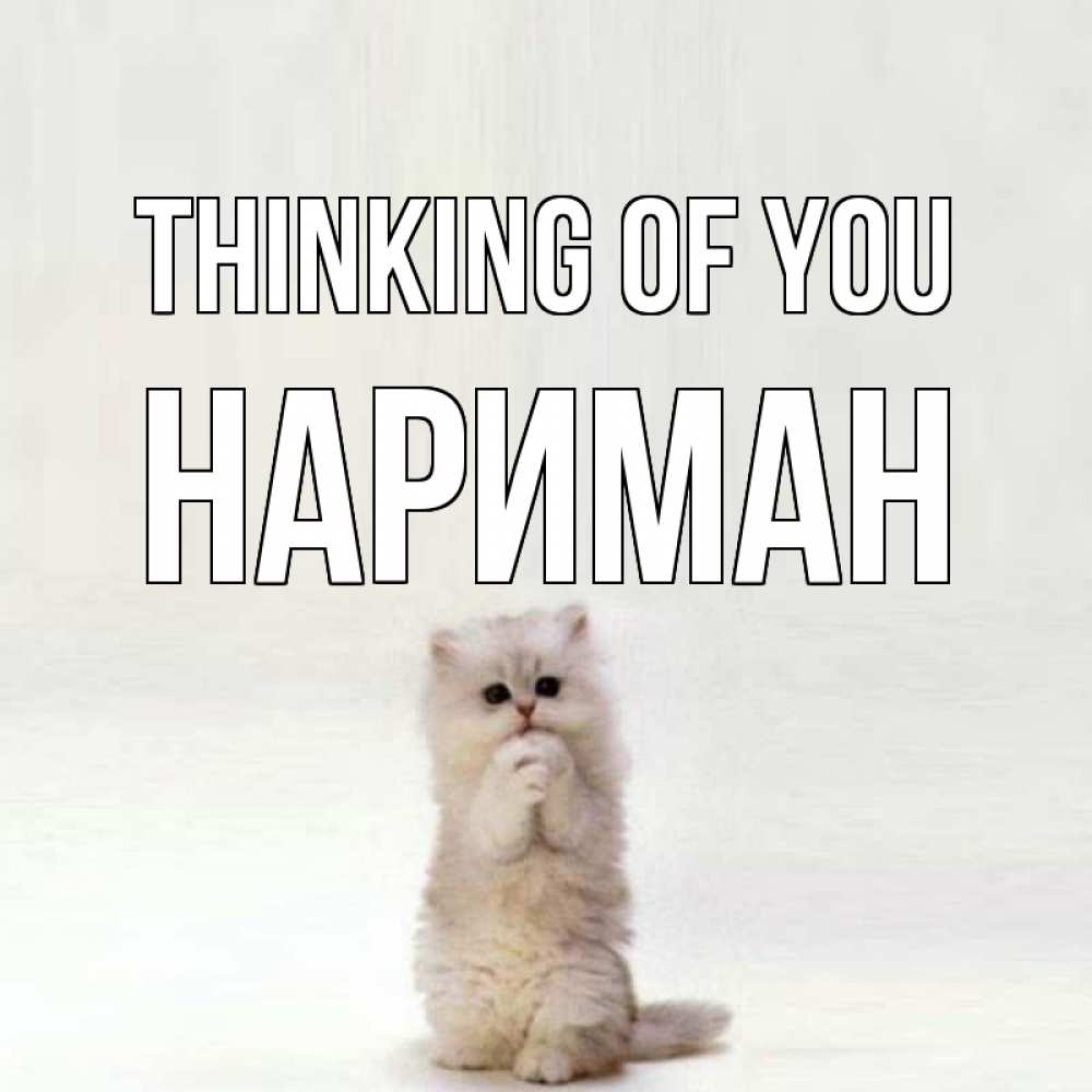 Greetings card с именем, НАРИМАН Thinking of you кот стоит на задних лапах Greetings with text for free download 