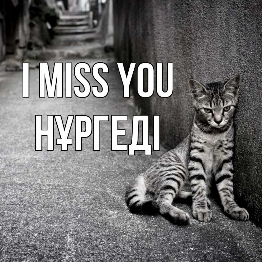 Greetings card с именем, НҰРГЕДІ I miss you одиноко котику Greetings with text for free download 