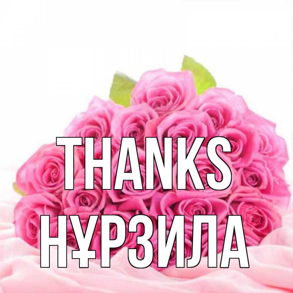 Greetings card с именем, НҰРЗИЛА Thanks розовые розы с подписью Greetings with text for free download 
