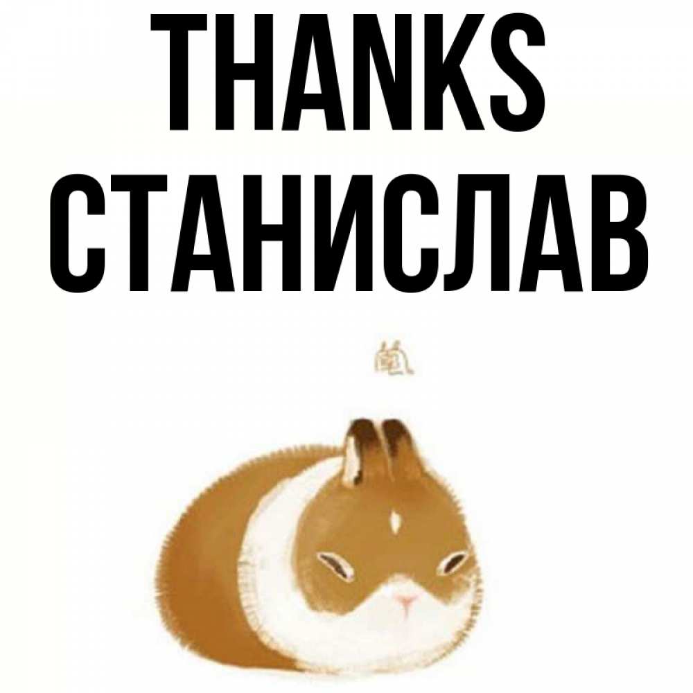 Greetings card с именем, Станислав Thanks коричнево белый домашний питомец Greetings with text for free download 