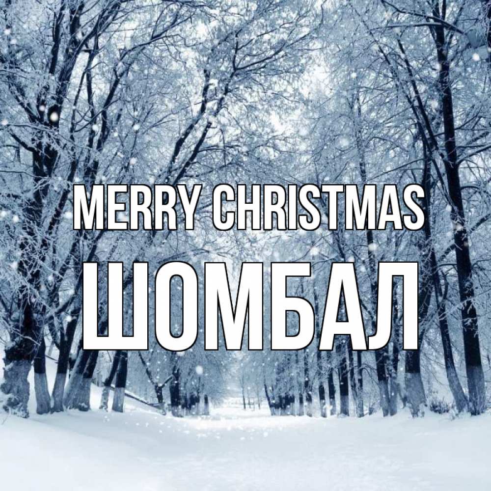 Greetings card с именем, ШОМБАЛ Merry Christmas снег, лес, парк Greetings with text for free download 