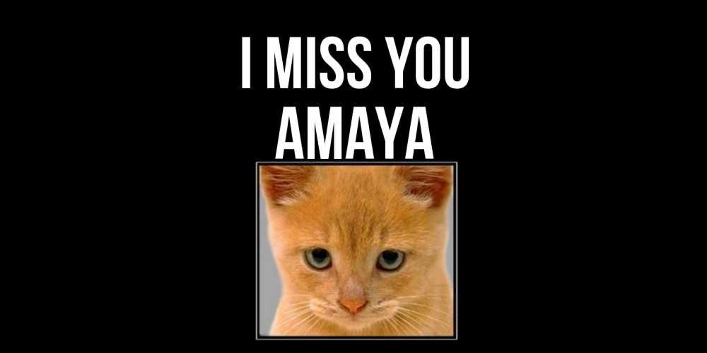 Greetings card с именем, Amaya I miss you открытки рыжий котенок скучает по тебе Greetings with text for free download 