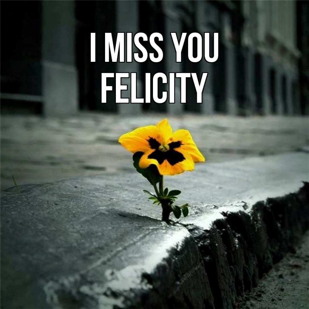 Greetings card с именем, Felicity I miss you надеюсь будет лучше Greetings with text for free download 