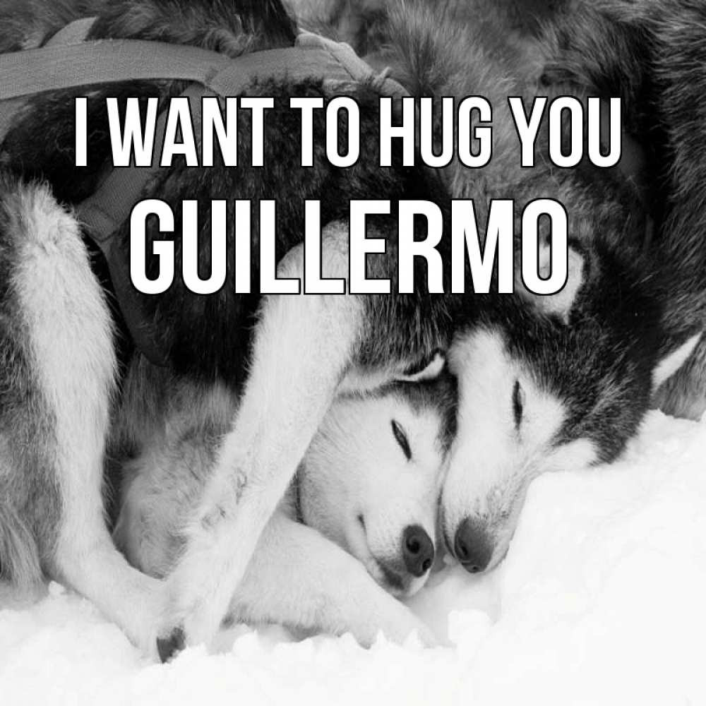 Greetings card с именем, Guillermo I want to hug you собачки в упряжке Greetings with text for free download 