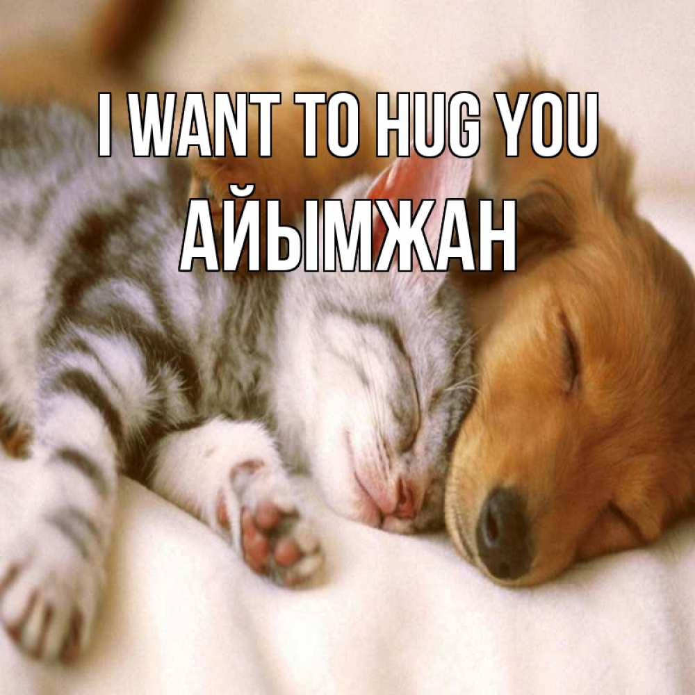 Greetings card с именем, АЙЫМЖАН I want to hug you пес и котенок Greetings with text for free download 