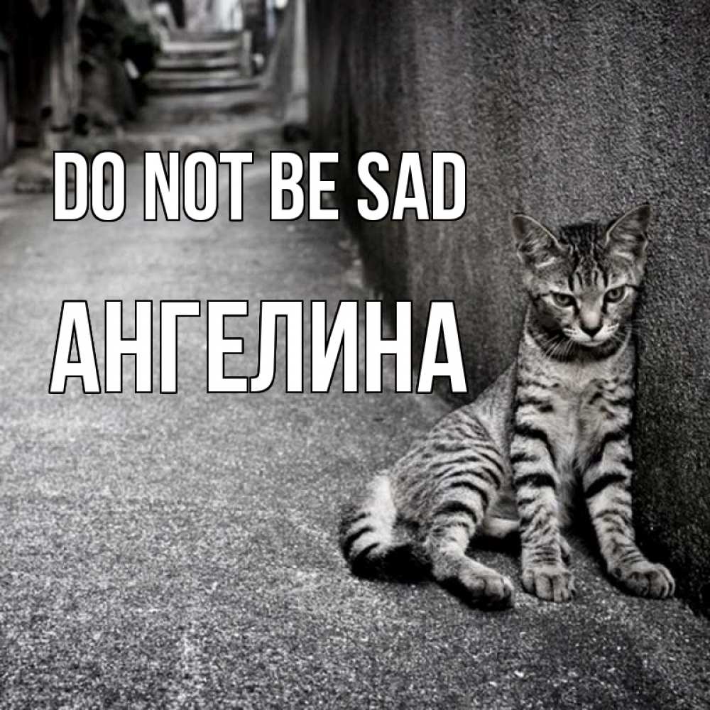 Greetings card с именем, Ангелина Do not be sad скучающий котик Greetings with text for free download 