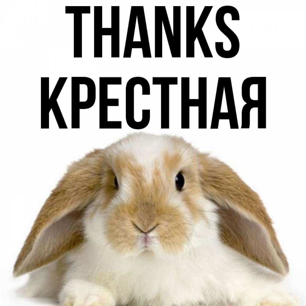 Greetings card с именем, Крестная Thanks коричнево белый заяц Greetings with text for free download 