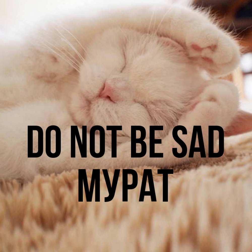 Greetings card с именем, Мурат Do not be sad Котенок спит Greetings with text for free download 