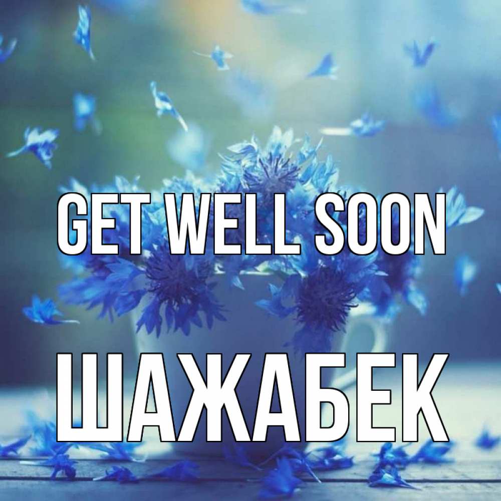 Greetings card с именем, ШАЖАБЕК Get well soon кружка с зельем и цветами Greetings with text for free download 
