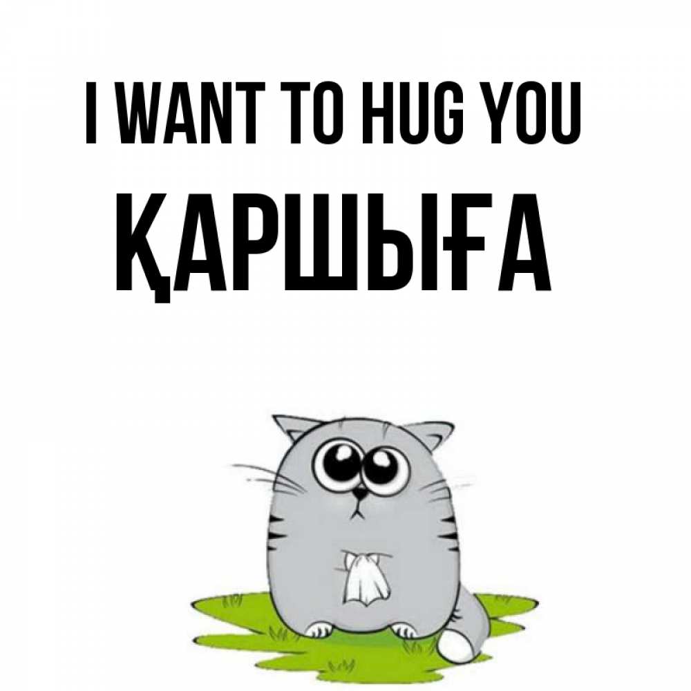 Greetings card с именем, Қаршыға I want to hug you котик теребит платочек сидя на травке Greetings with text for free download 