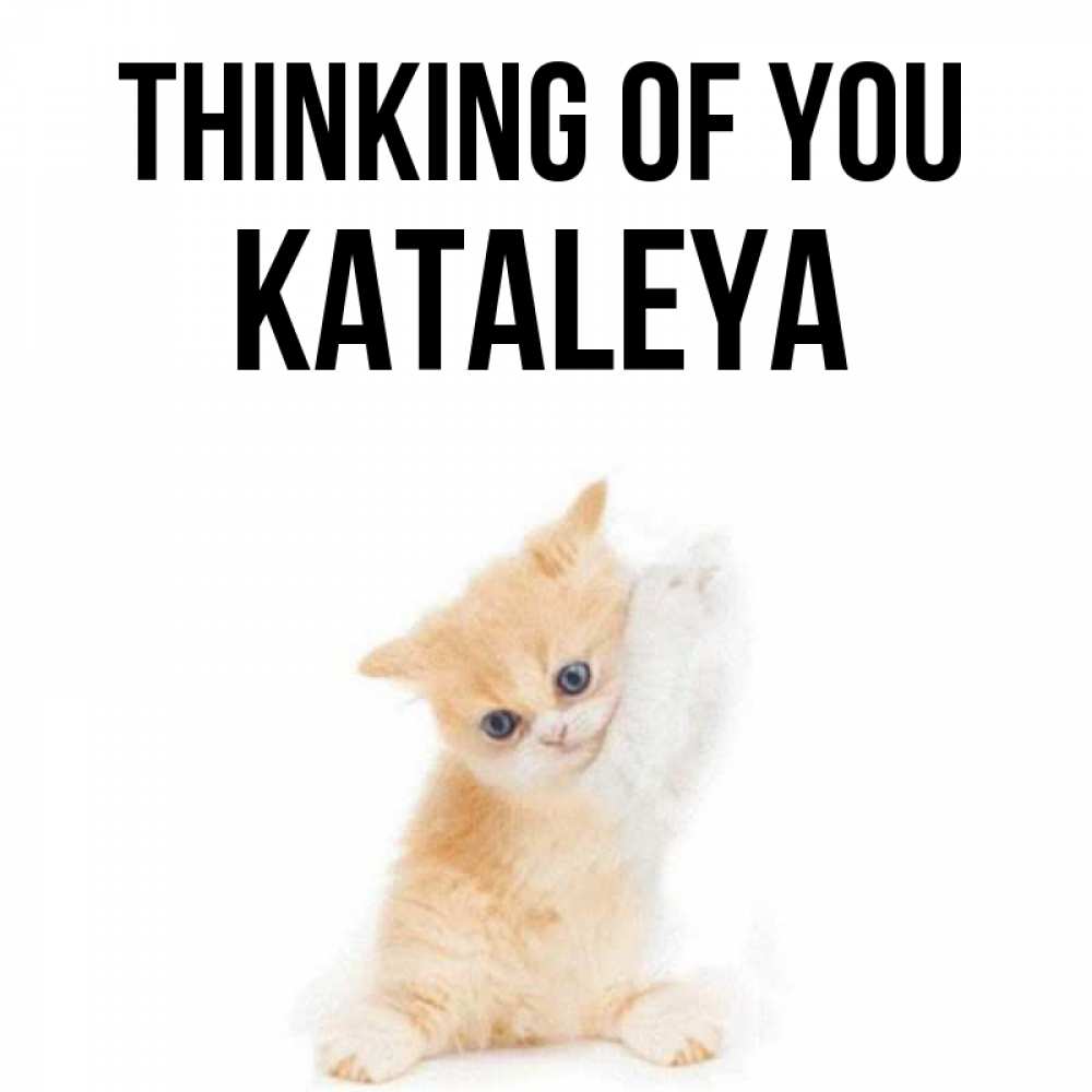 Greetings card с именем, Kataleya Thinking of you зверушки и милота Greetings with text for free download 
