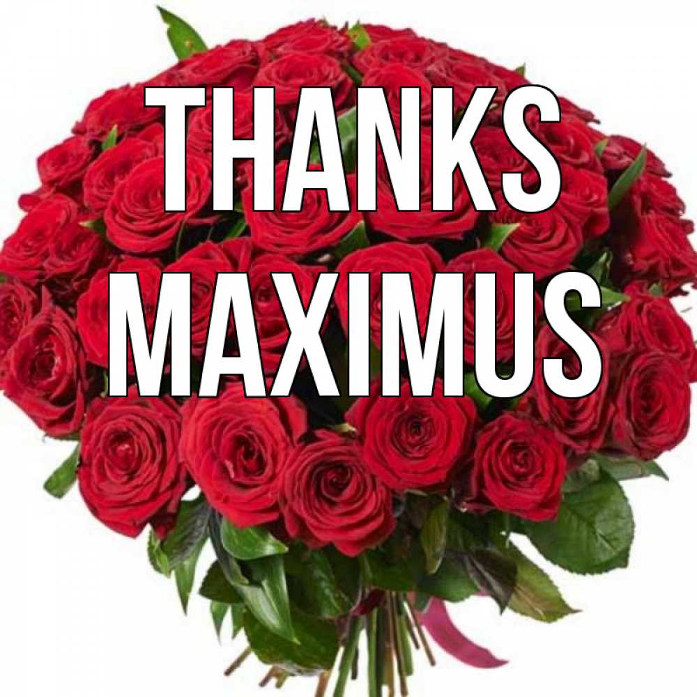 Greetings card с именем, Maximus Thanks букет красных роз Greetings with text for free download 