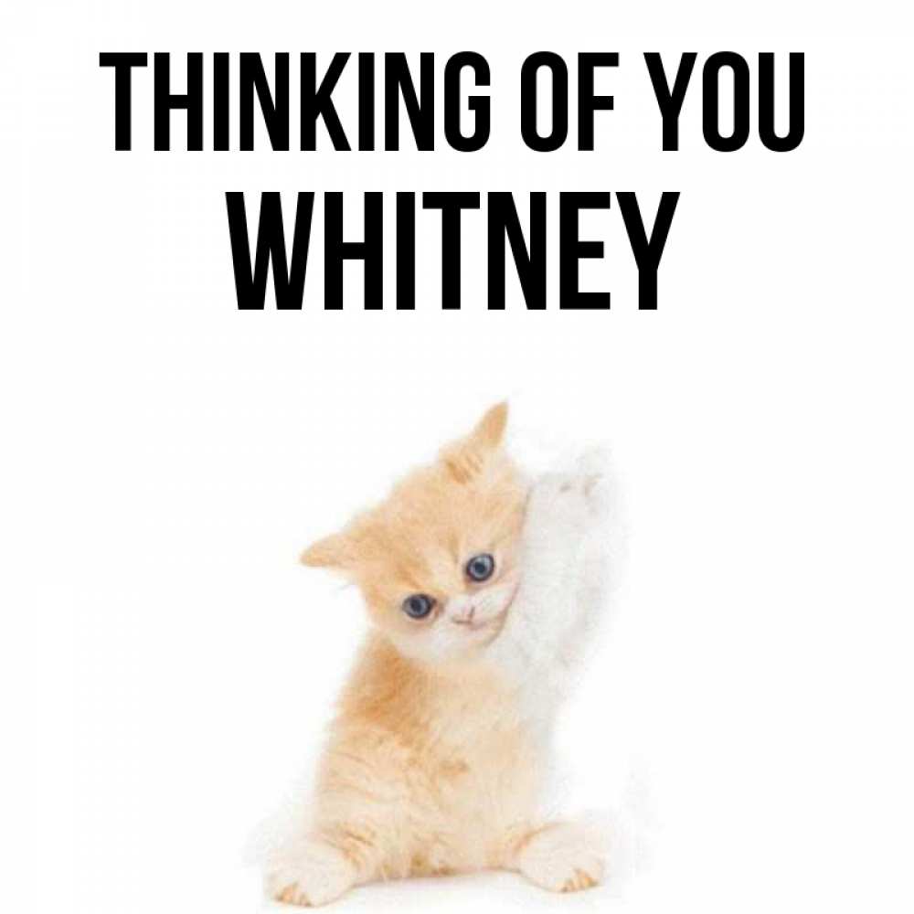 Greetings card с именем, Whitney Thinking of you зверушки и милота Greetings with text for free download 