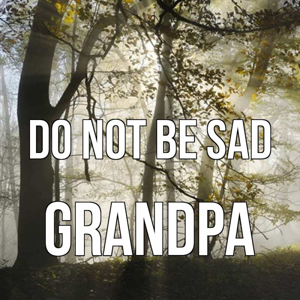 Greetings card с именем, grandpa Do not be sad лес и свет Greetings with text for free download 