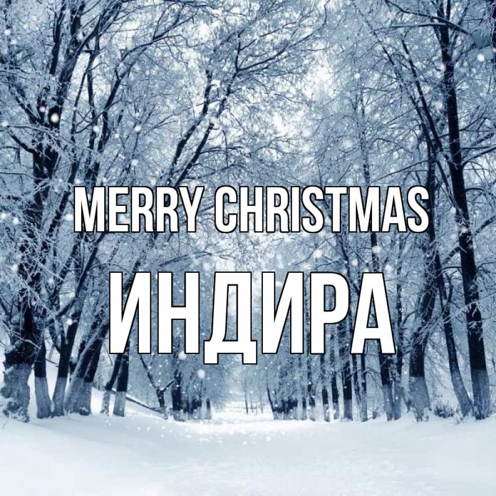 Greetings card с именем, ИНДИРА Merry Christmas снег, лес, парк Greetings with text for free download 