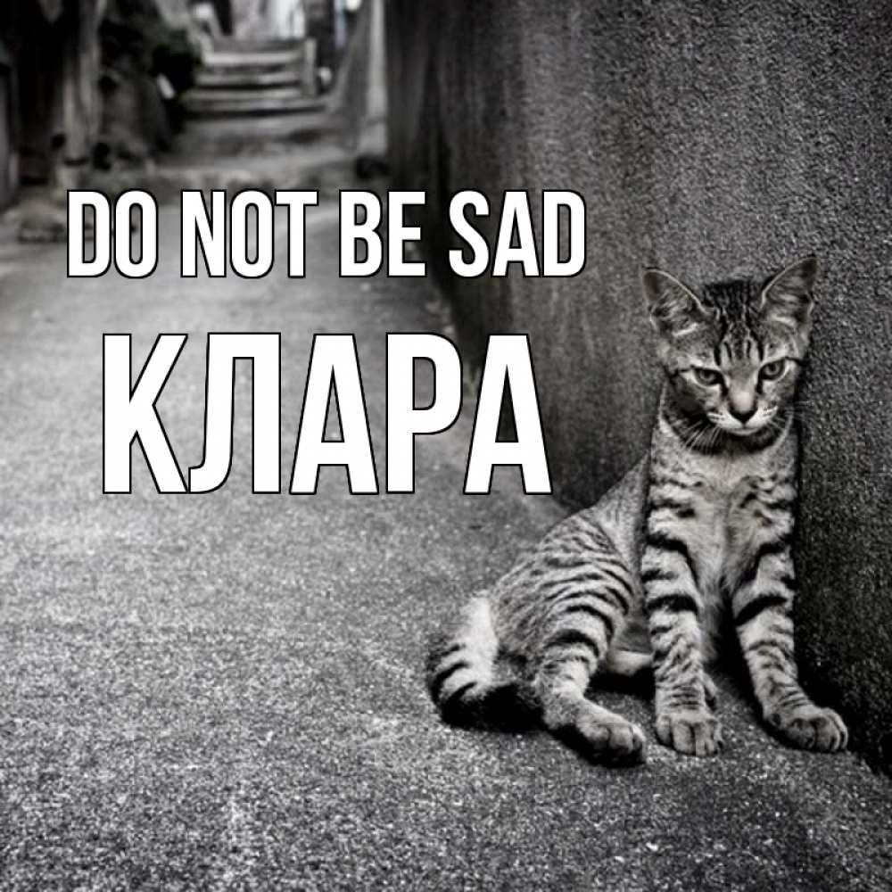 Greetings card с именем, КЛАРА Do not be sad скучающий котик Greetings with text for free download 