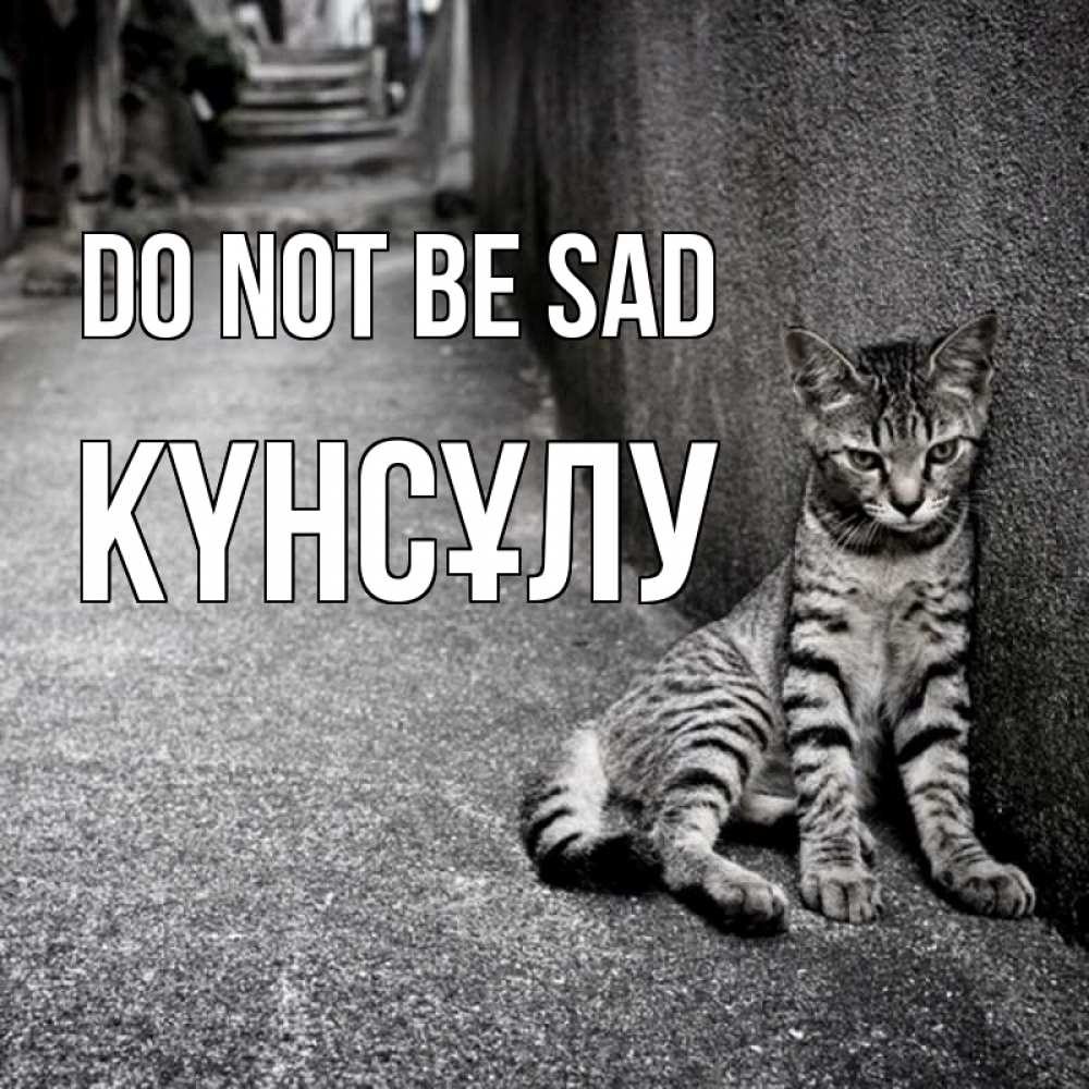 Greetings card с именем, КҮНСҰЛУ Do not be sad скучающий котик Greetings with text for free download 