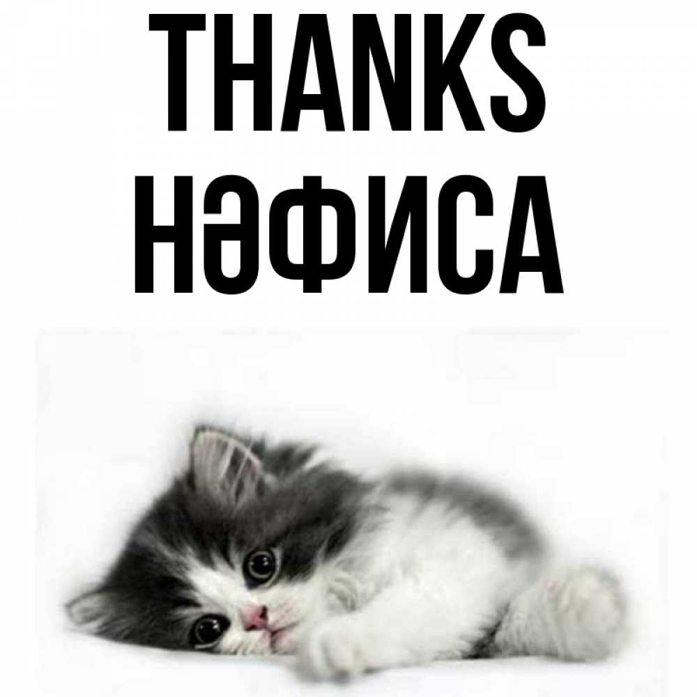 Greetings card с именем, НӘФИСА Thanks черный и белый кот Greetings with text for free download 