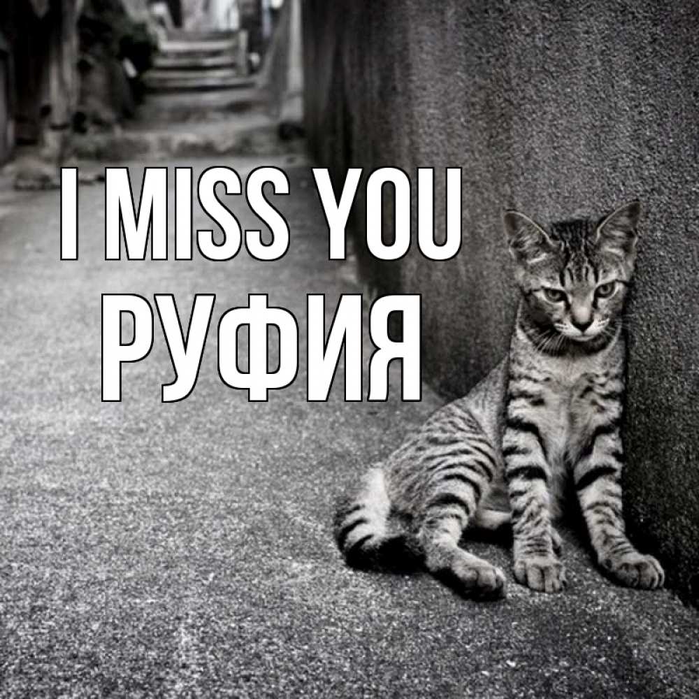 Greetings card с именем, РУФИЯ I miss you одиноко котику Greetings with text for free download 