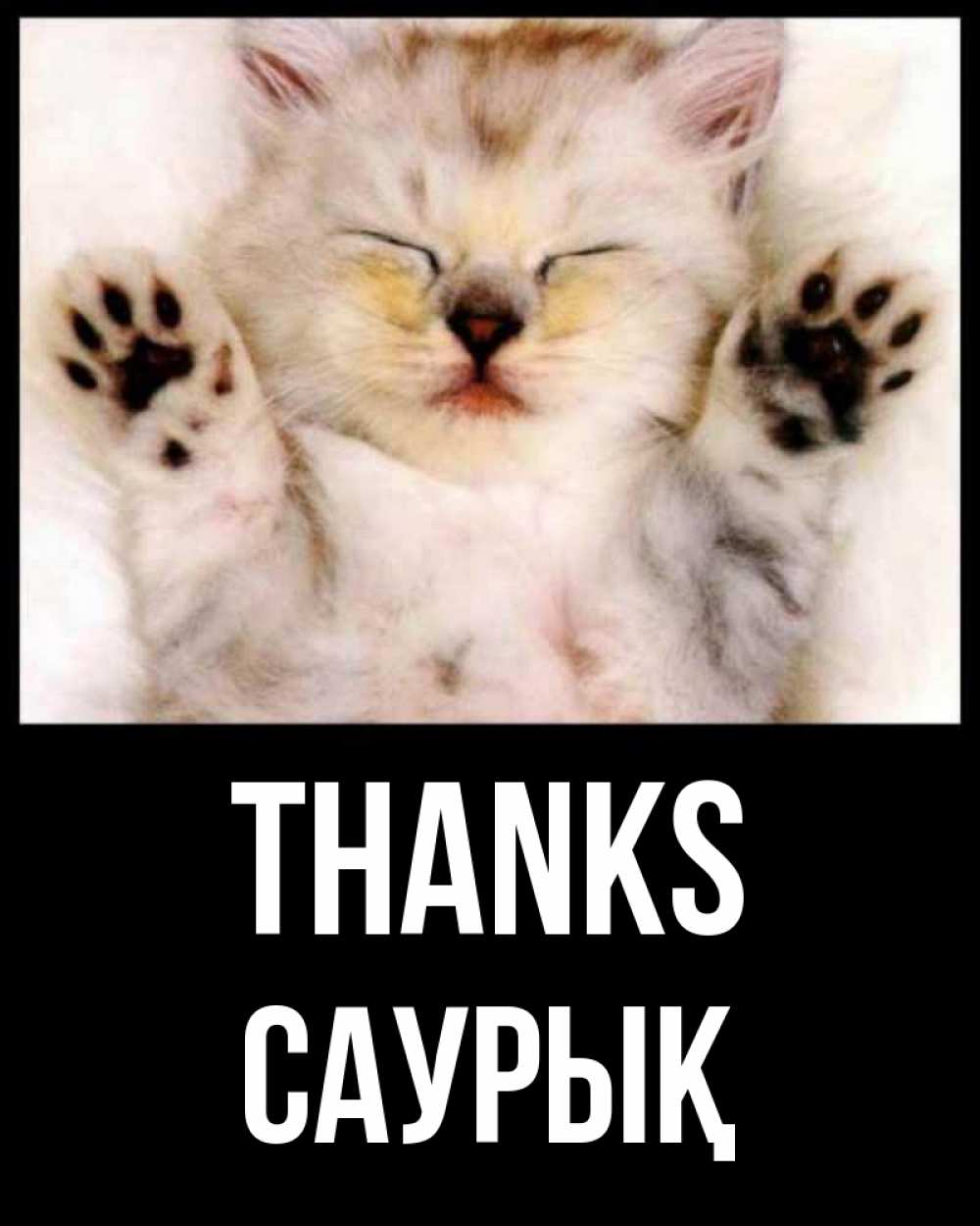 Greetings card с именем, САУРЫҚ Thanks маленький котенок Greetings with text for free download 