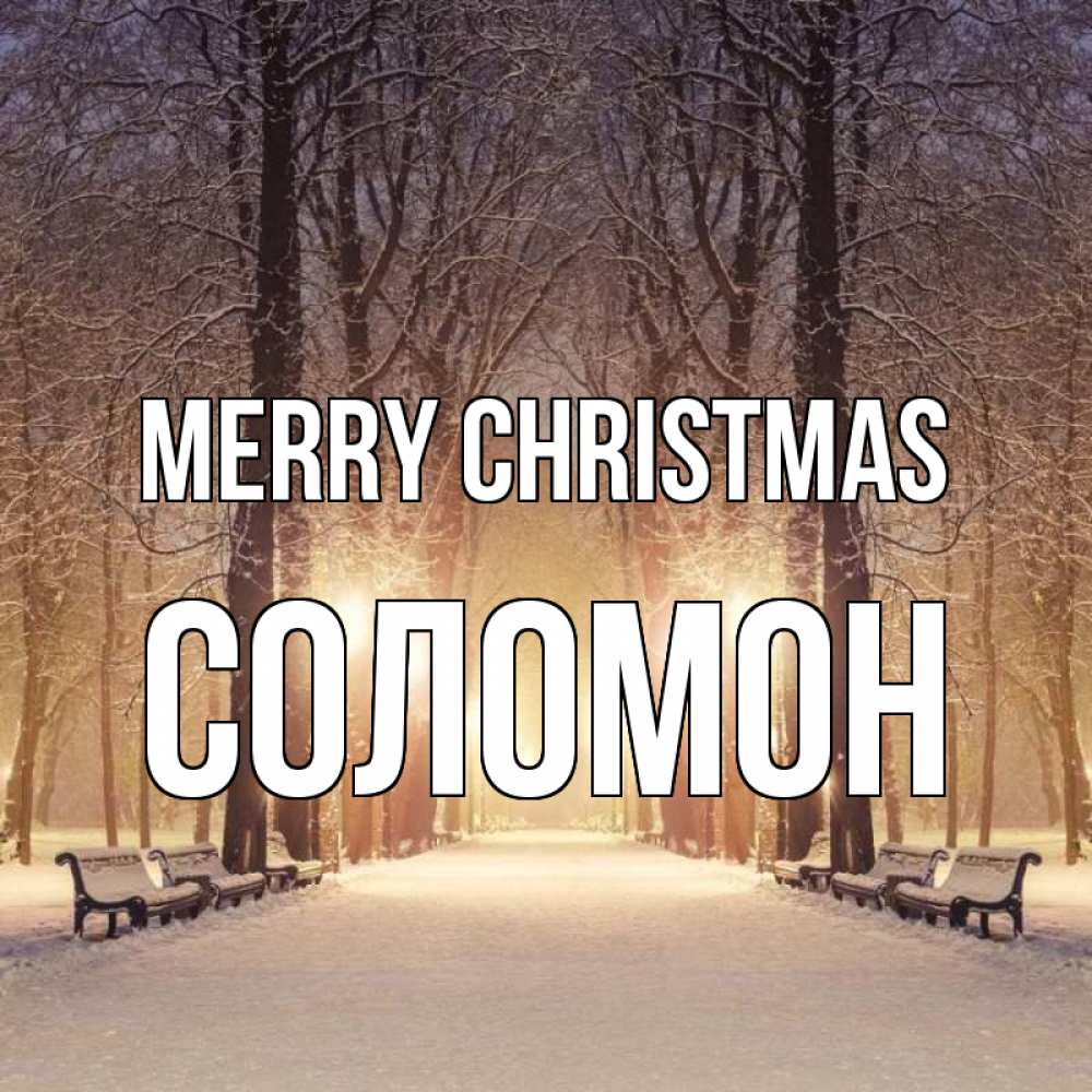 Greetings card с именем, Соломон Merry Christmas зима, парк, фонарь, лес Greetings with text for free download 