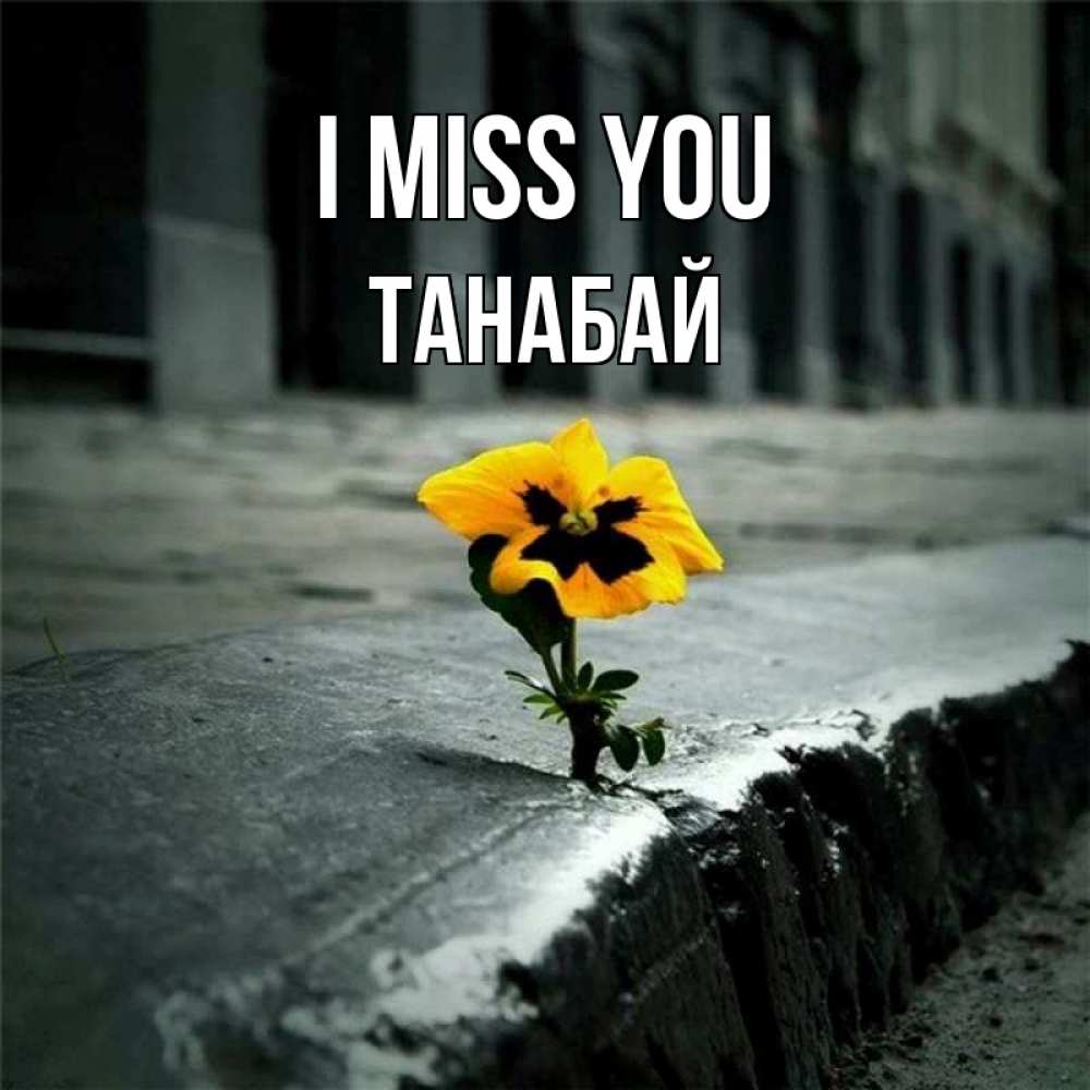 Greetings card с именем, ТАНАБАЙ I miss you надеюсь будет лучше Greetings with text for free download 