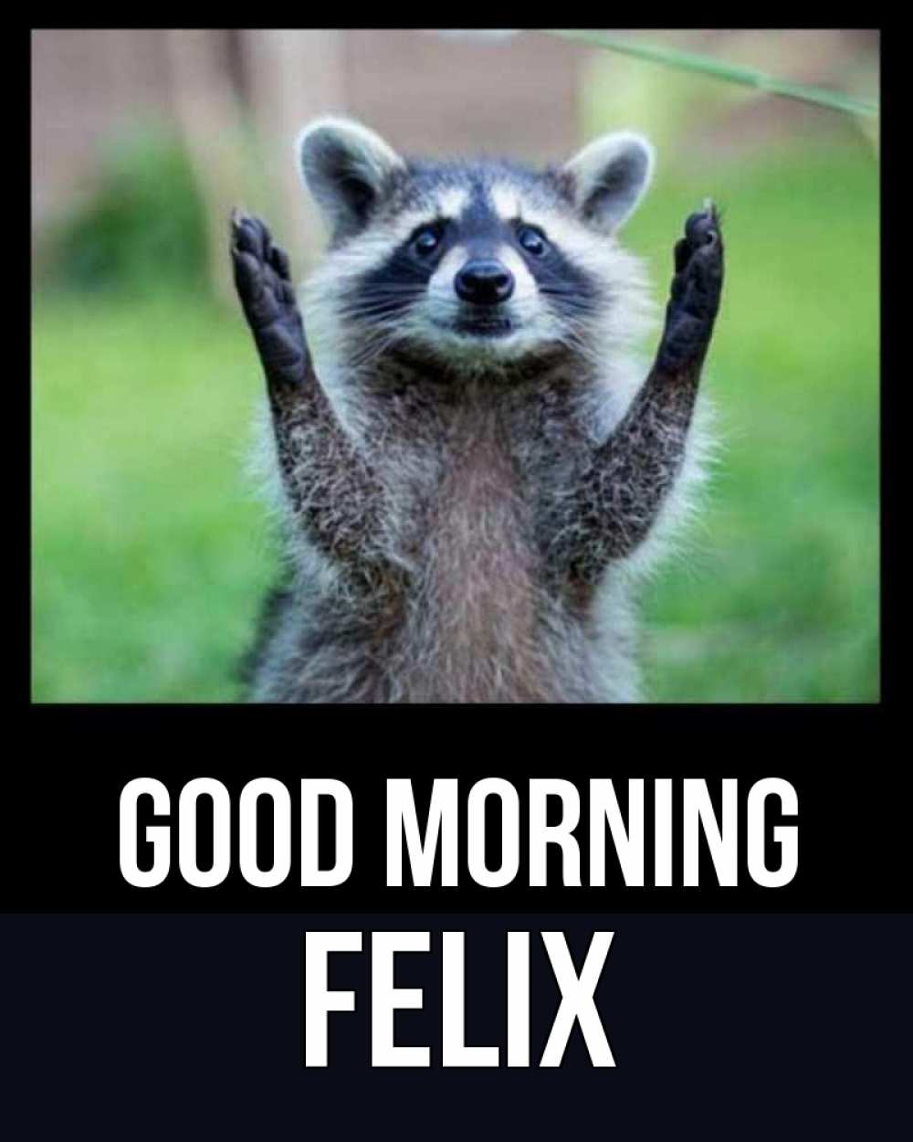 Greetings card с именем, Felix Good morning хорошее настроение утречком Greetings with text for free download 