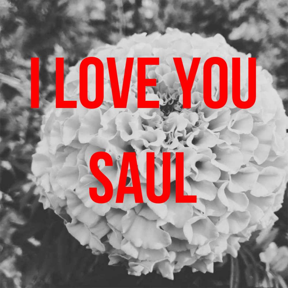 Greetings card с именем, Saul I love you подпись Greetings with text for free download 