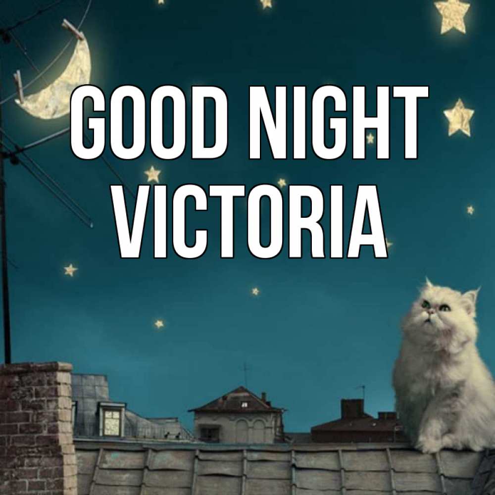 Greetings card с именем, Victoria Good night белый кот сидит на крыше Greetings with text for free download 