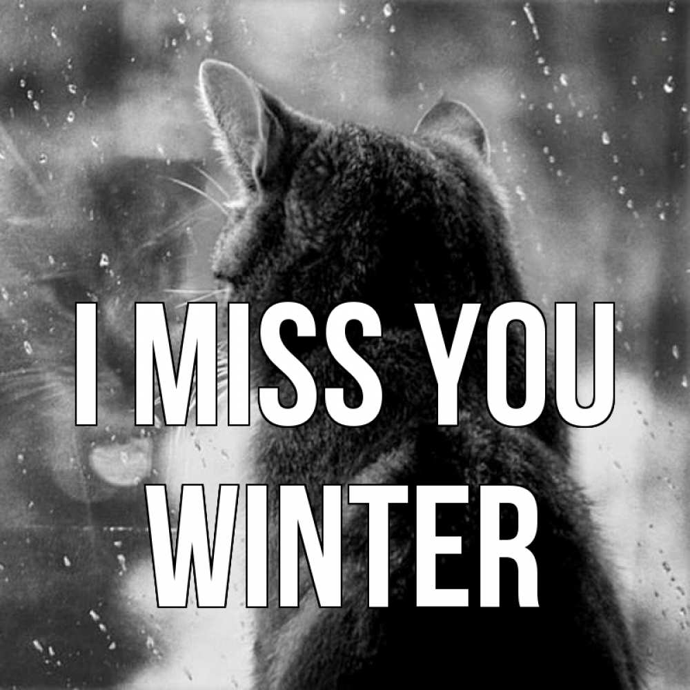 Greetings card с именем, Winter I miss you скорее ко мне приходи 1 Greetings with text for free download 