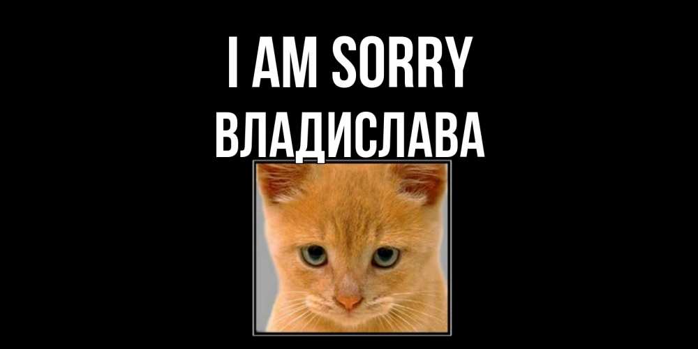 Greetings card с именем, Владислава I am sorry рыжий грустный кот просит прощения Greetings with text for free download 