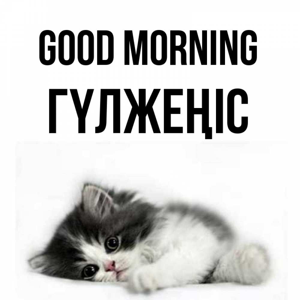Greetings card с именем, ГҮЛЖЕҢІС Good morning кот лапки Greetings with text for free download 