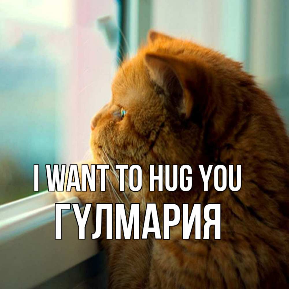 Greetings card с именем, ГҮЛМАРИЯ I want to hug you большой огромный рыжий котяра Greetings with text for free download 
